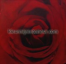 red rose fototapet Evolutions